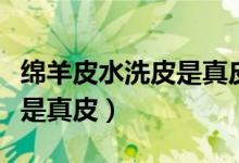 绵羊皮水洗皮是真皮吗（水洗绵羊皮到底是不是真皮）