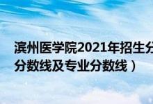 滨州医学院2021年招生分数（滨州医学院2021年各省录取分数线及专业分数线）