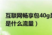 互联网畅享包40g是什么（互联网畅享包40g是什么流量）