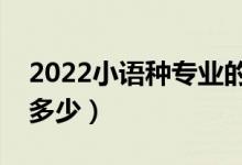 2022小语种专业的就业前景怎么样（薪酬是多少）