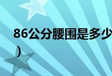 86公分腰围是多少码（86公分腰围是多少尺）