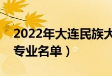 2022年大连民族大学有哪些专业（国家特色专业名单）