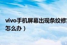 vivo手机屏幕出现条纹修复多少钱（vivo手机屏幕出现条纹怎么办）