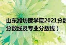 山东潍坊医学院2021分数线（潍坊医学院2021年各省录取分数线及专业分数线）