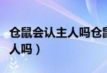 仓鼠会认主人吗仓鼠怀孕要多久（仓鼠会认主人吗）