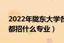 2022年陇东大学各省招生计划及招生人数（都招什么专业）