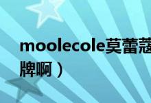 moolecole莫蕾蔻蕾（莫蕾蔻蕾是哪里的品牌啊）