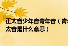 正太音少年音青年音（青年音、受音、大叔音、公子音、正太音是什么意思）
