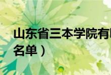 山东省三本学院有哪些（2022最新三本院校名单）