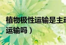 植物极性运输是主动运输吗（极性运输是主动运输吗）