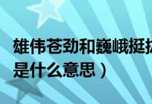 雄伟苍劲和巍峨挺拔是什么意思啊（苍劲挺拔是什么意思）