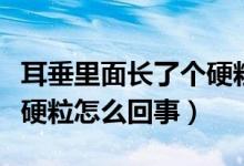 耳垂里面长了个硬粒怎么办（耳垂里面长了个硬粒怎么回事）