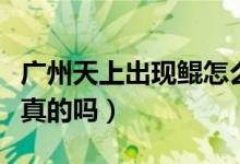 广州天上出现鲲怎么回事（东莞天空出现鲲是真的吗）