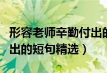 形容老师辛勤付出的短句子（关于老师辛勤付出的短句精选）