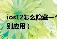 ios12怎么隐藏一个应用（ios12如何隐藏个别应用）