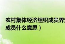 农村集体经济组织成员界定是什么意思（农村集体经济组织成员什么意思）