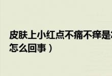 皮肤上小红点不痛不痒是怎么回事（皮肤起小红点不痛不痒怎么回事）