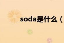 soda是什么（soda是什么意思）