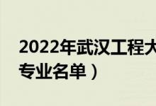 2022年武汉工程大学有哪些专业（国家特色专业名单）