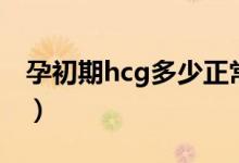 孕初期hcg多少正常（孕初期hcg多少算正常）