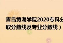 青岛黄海学院2020专科分数（青岛黄海学院2021年各省录取分数线及专业分数线）