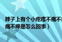 脖子上有个小疙瘩不痛不痒怎么回事（脖子上有小疙瘩且不痛不痒是怎么回事）