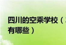 四川的空乘学校（2022年四川省的空乘院校有哪些）