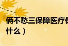 俩不愁三保障医疗保障标准（俩不愁三保障是什么）