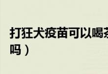 打狂犬疫苗可以喝茶吗（打狂犬疫苗可以抽烟吗）