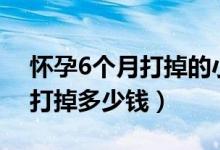 怀孕6个月打掉的小孩怎么处理（怀孕6个月打掉多少钱）