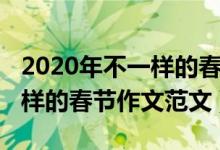 2020年不一样的春节作文范文（2020年不一样的春节作文范文）