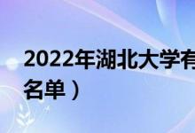 2022年湖北大学有哪些专业（国家特色专业名单）