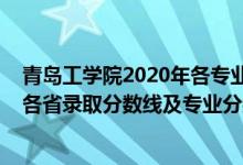 青岛工学院2020年各专业录取分数线（青岛工学院2021年各省录取分数线及专业分数线）