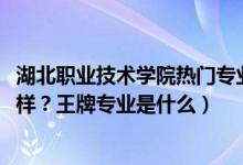 湖北职业技术学院热门专业（2022年湖北职业技术学院怎么样？王牌专业是什么）