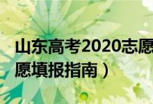 山东高考2020志愿填报（2022山东新高考志愿填报指南）