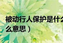 被动行人保护是什么配置（被动行人保护是什么意思）