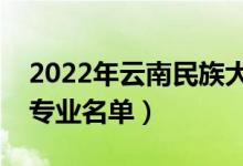 2022年云南民族大学有哪些专业（国家特色专业名单）