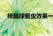 樟脑球驱虫效果一般（樟脑球驱什么虫）