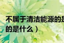 不属于清洁能源的是哪一个（不属于清洁能源的是什么）