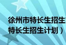 徐州市特长生招生简章（2022徐州普通高中特长生招生计划）