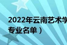 2022年云南艺术学院有哪些专业（国家特色专业名单）