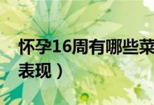 怀孕16周有哪些菜不能吃（怀孕16周有哪些表现）