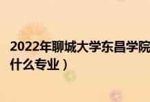 2022年聊城大学东昌学院在安徽招生计划及招生人数（都招什么专业）