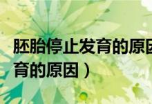 胚胎停止发育的原因有必要查吗（胚胎停止发育的原因）