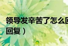 领导发辛苦了怎么回信息（领导发辛苦了怎么回复）