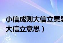 小信成则大信立意思是什么二年级（小信成则大信立意思）