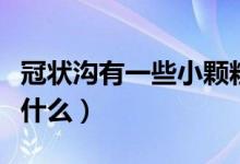 冠状沟有一些小颗粒（冠状沟有一圈小颗粒是什么）