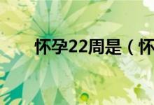 怀孕22周是（怀孕22周有哪些表现）