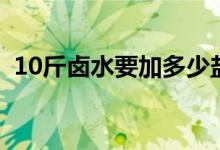 10斤卤水要加多少盐（10斤卤水要多少盐）