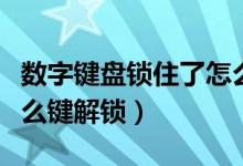 数字键盘锁住了怎么解锁（数字键盘锁了按什么键解锁）